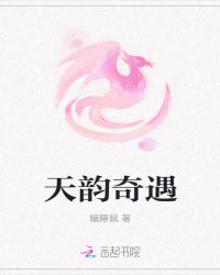 天韵奇遇