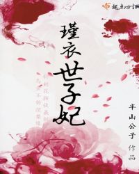 瑾衣世子妃