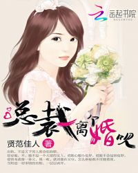 总裁离个婚呗