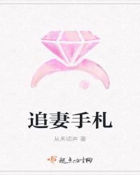 追妻手札