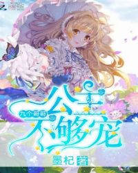 九个哥哥：公主不够宠