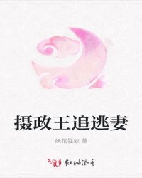 摄政王追逃妻