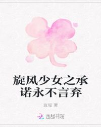 旋风少女之承诺永不言弃