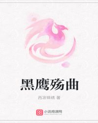 黑鹰殇曲