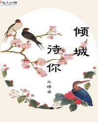 倾城待你