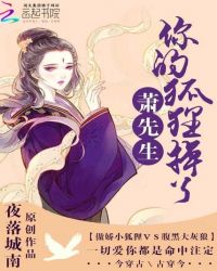 萧先生，你的狐狸掉了