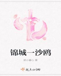 锦城一沙鸥