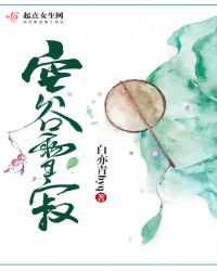 空谷雪寂