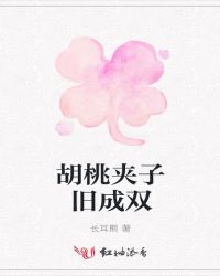 胡桃夹子旧成双