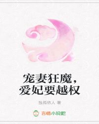 宠妻狂魔，爱妃要越权