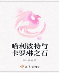 哈利波特与卡罗琳之石