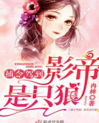 捕令驾到：影帝是只狼
