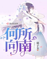 何所向南