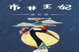 市井王妃成长路