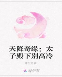 天降奇缘：太子殿下别高冷