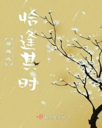 穿越之恰逢其时