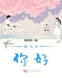 陆太太，你好！