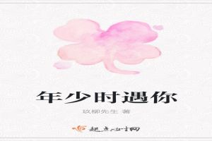 年少时遇你