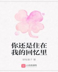 你还是住在我的回忆里