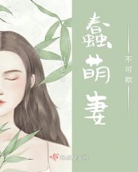 蠢萌妻，不可欺