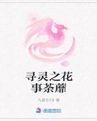 寻灵之影