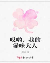 哎哟，我的猫咪大人