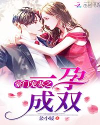 豪门宠妻之一孕成双