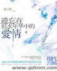 遗忘在似水年华中的爱情