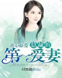 攻心掠爱：总裁的第一爱妻