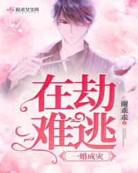 一婚成灾：在劫难逃
