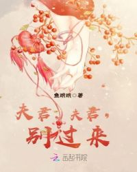 夫君，夫君，别过来