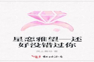 星恋雅望—还好没错过你