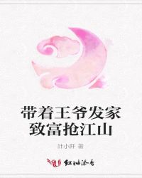 带着王爷发家致富抢江山