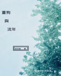 苍狗与流年