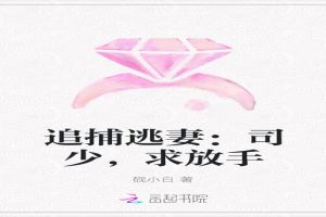 追捕逃妻：司少，求放手