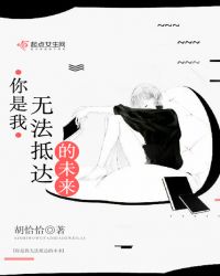 你是我无法抵达的未来