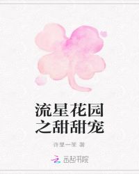 流星花园之甜甜宠