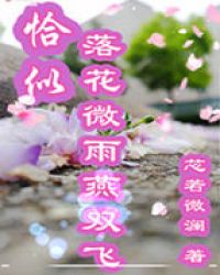 恰似落花微雨燕双飞