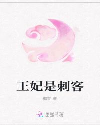王妃是刺客