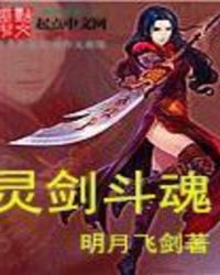 灵剑斗魂