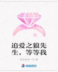 追爱之狼先生，等等我