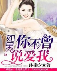 如果你不曾说爱我