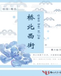 桥北西街