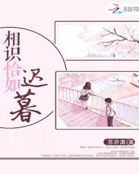 相识恰如迟暮