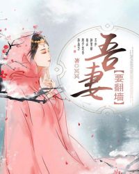 吾妻要翻墙