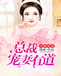 闪婚成爱：总裁宠妻有道