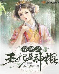 穿越之王妃是神棍