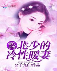豪门恩宠：北少的冷性暖妻