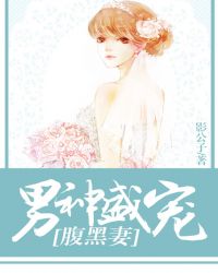 男神盛宠腹黑妻