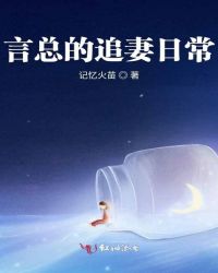 言总的追妻日常
